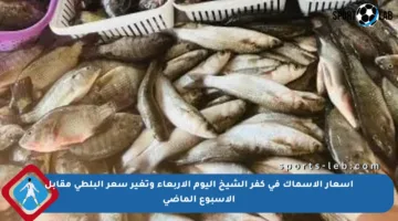 أسعار الأسماك في كفر الشيخ اليوم الأربعاء وتغير سعر البلطى مقابل الأسبوع الماضي
